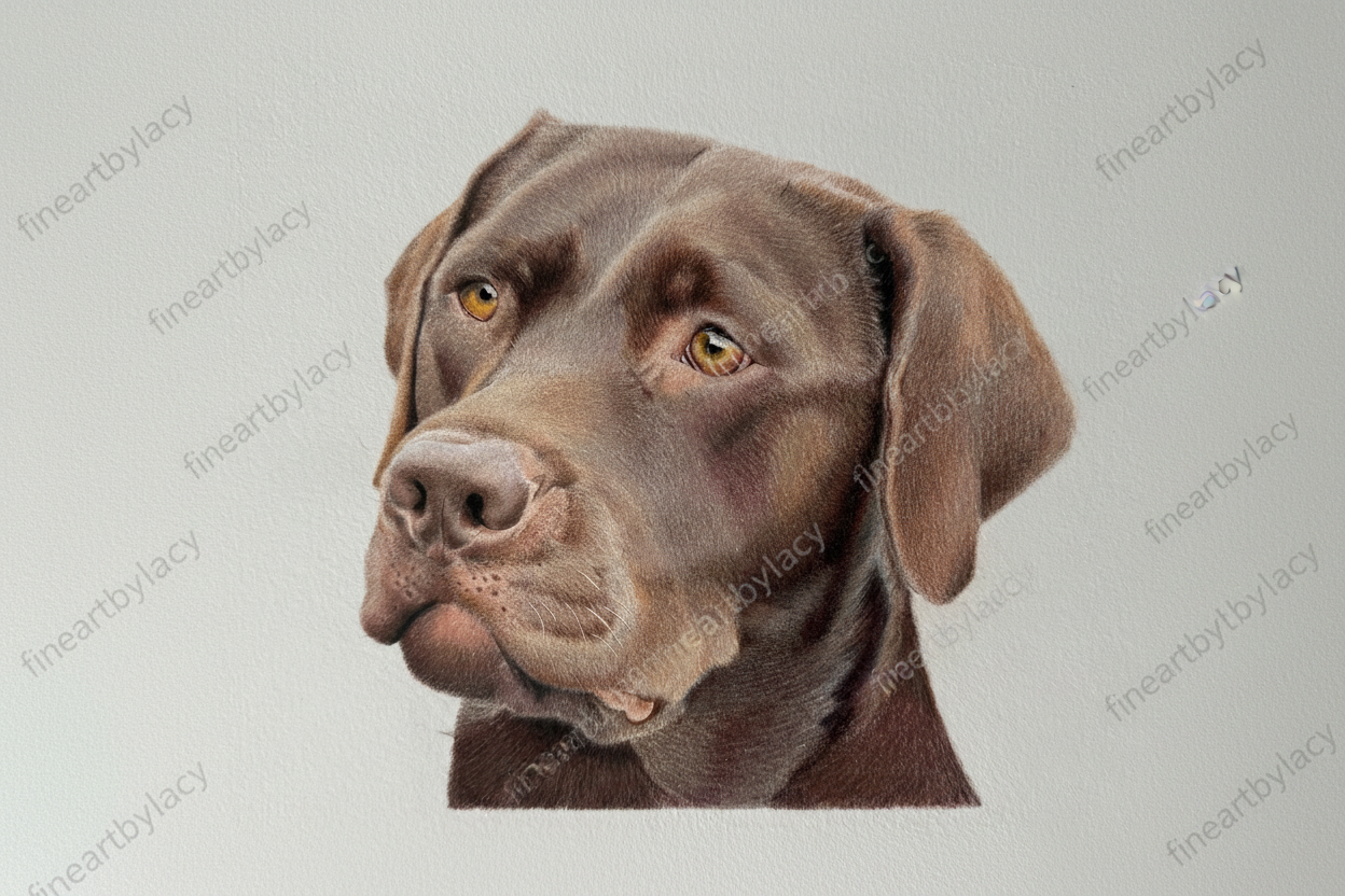 Commissioned Portrait - “9 x 12 inch”
