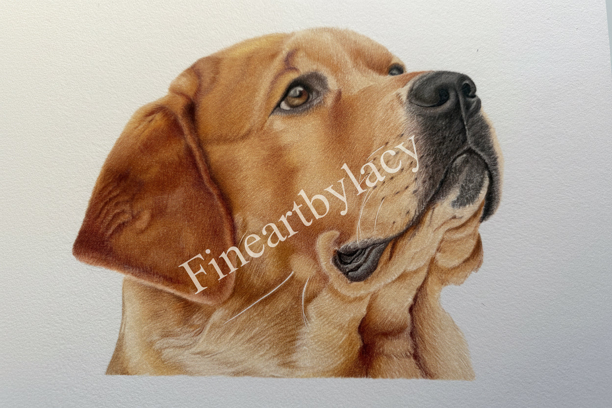 Commissioned Portrait - “9 x 12 inch”